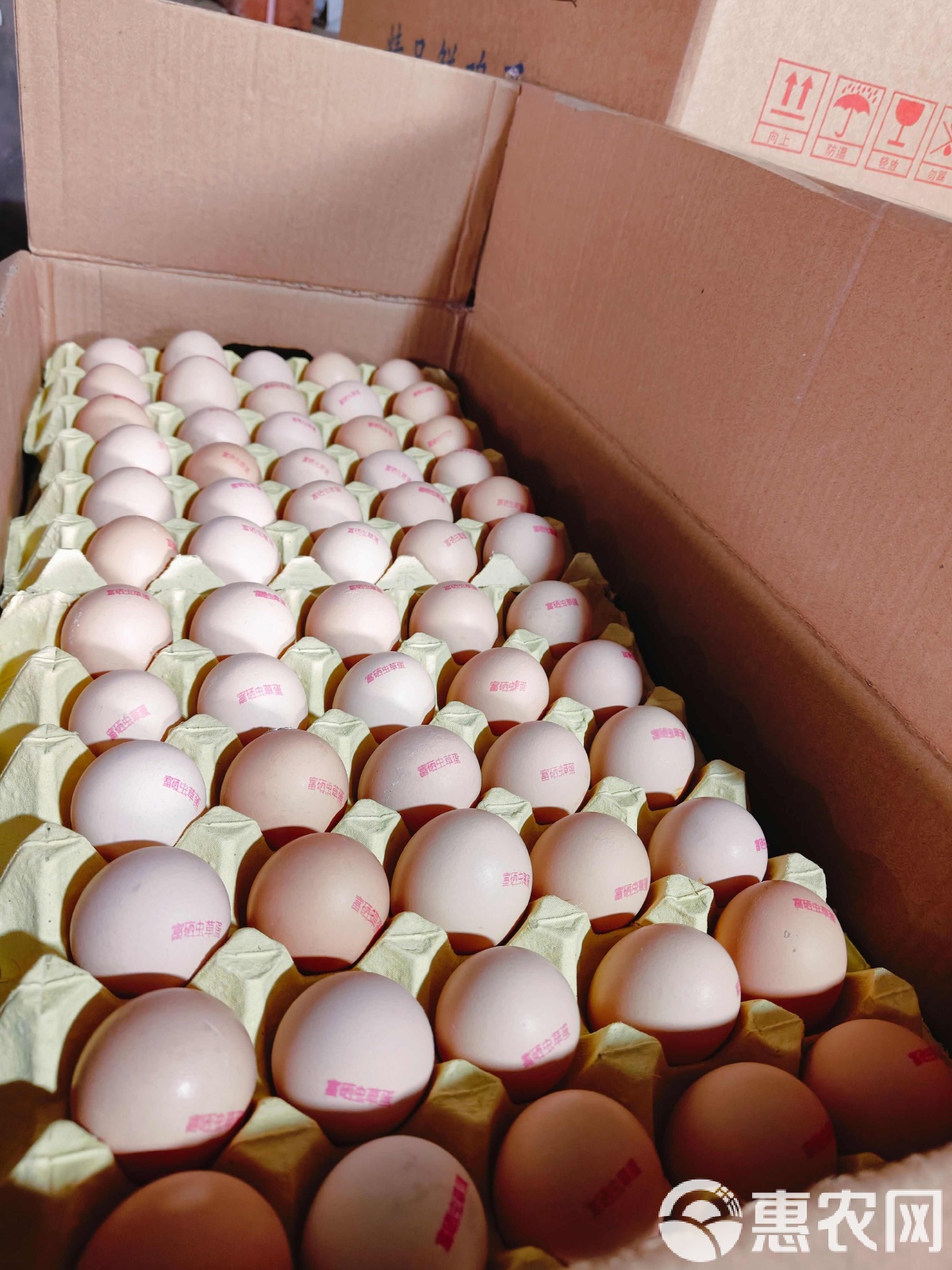 鸡蛋现货(鸡蛋现货连续亏损4个月)