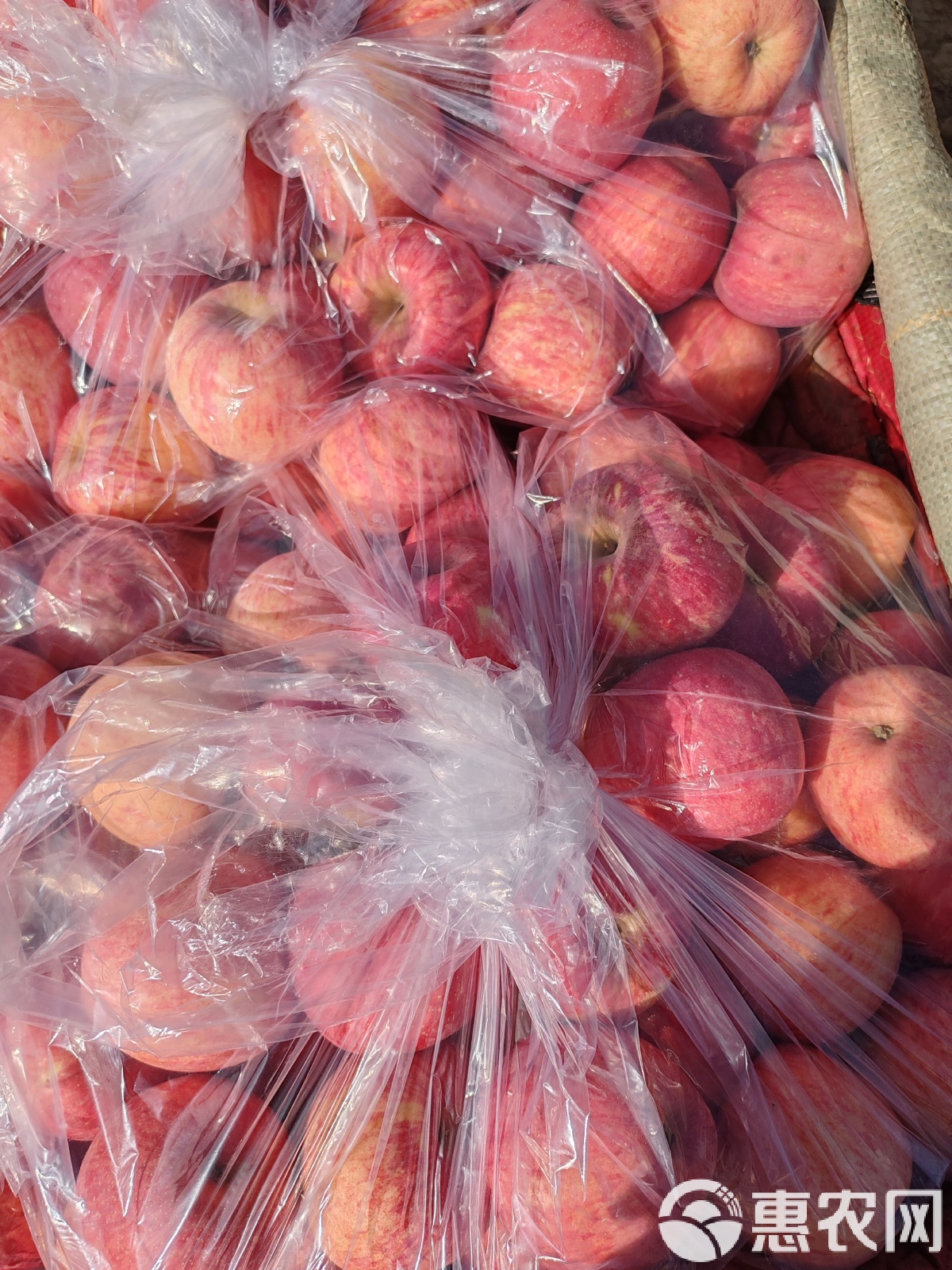 苹果现货(苹果现货库存) 苹果现货(苹果现货库存)