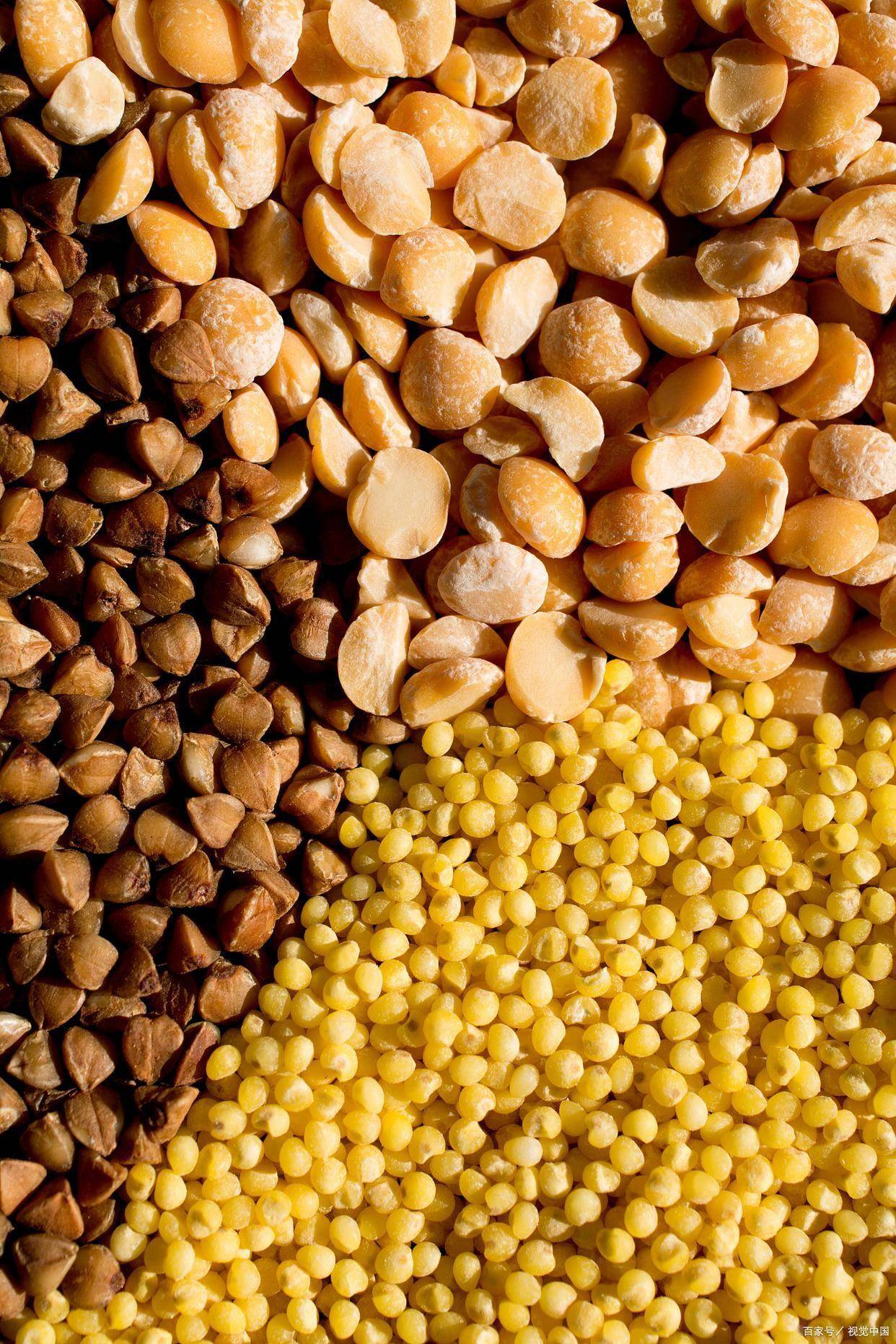 豆粕现货(豆粕现货报价3102元吨)