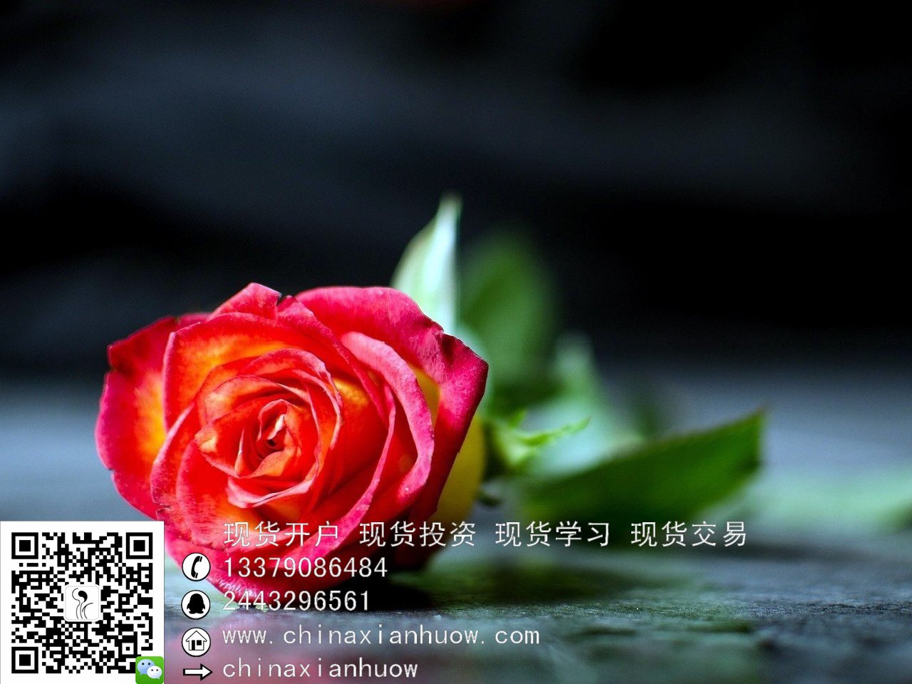 什么做现货(怎么才能做现货交易) 什么做现货(怎么才能做现货交易)