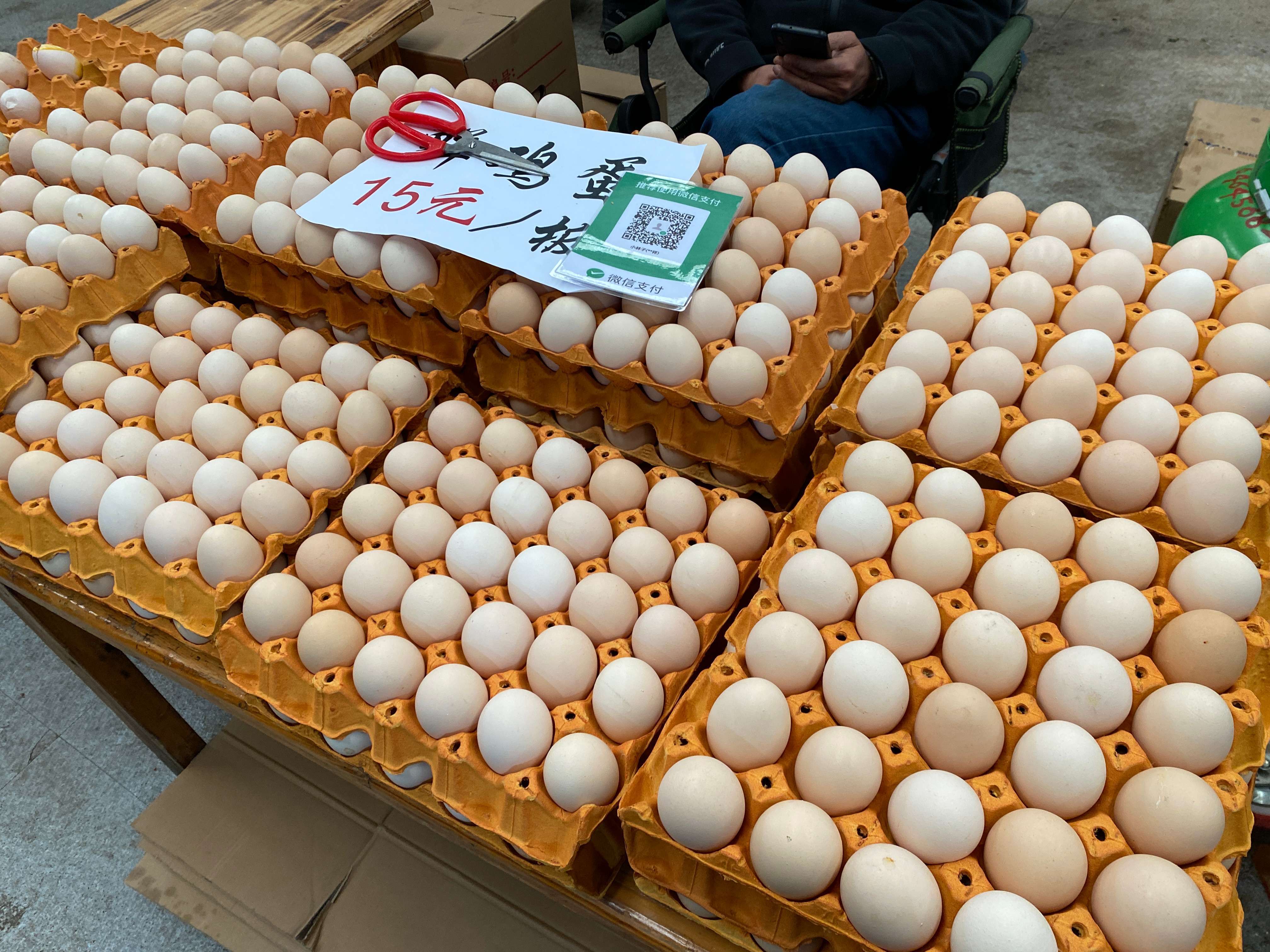 鸡蛋现货(鸡蛋现货报价653元公斤)