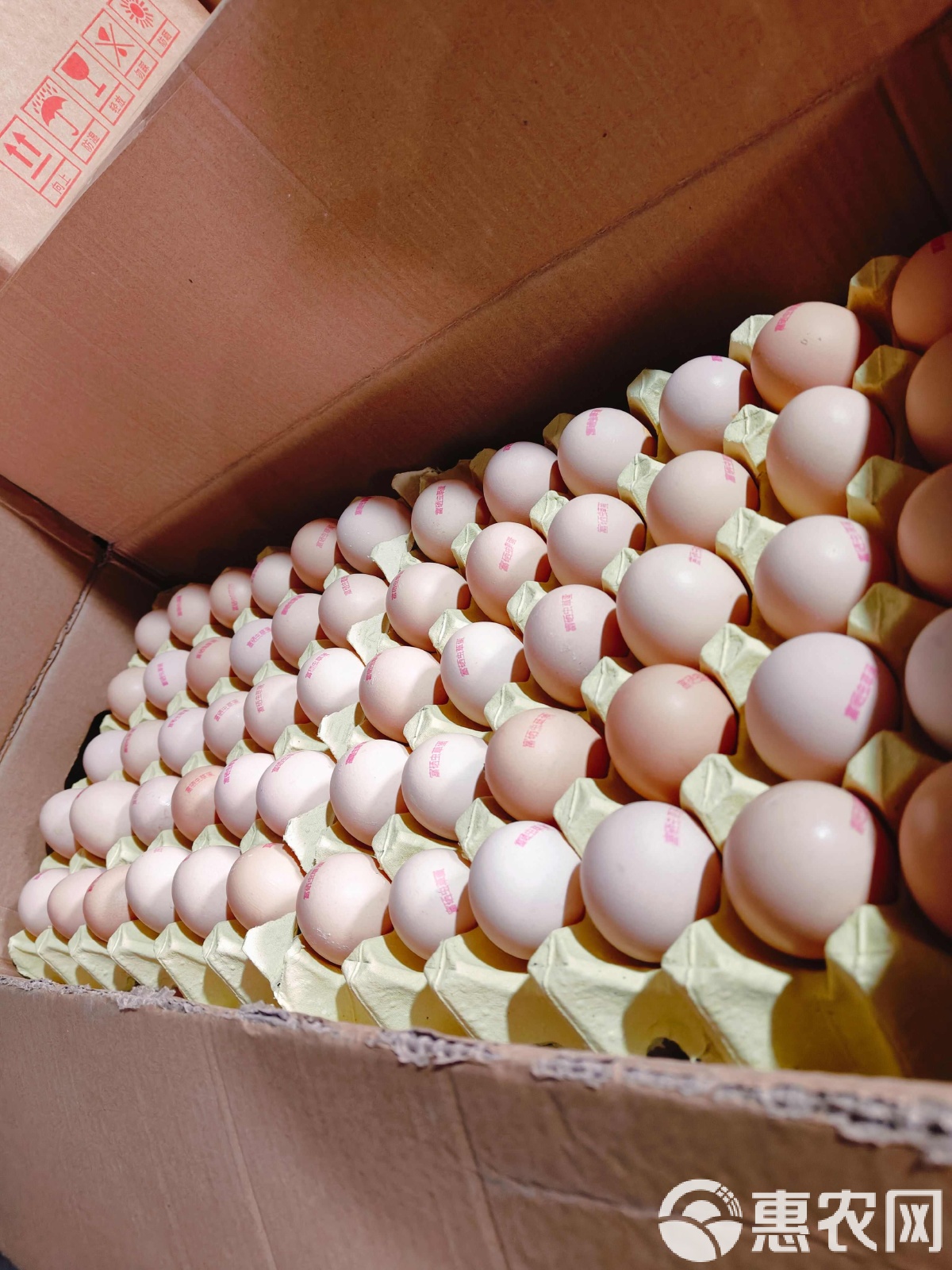 鸡蛋现货(鸡蛋现货涨期货跌是怎么了)