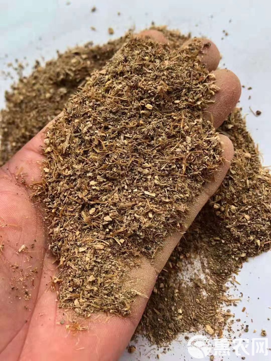 菜粕现货(菜粕现货最新消息)