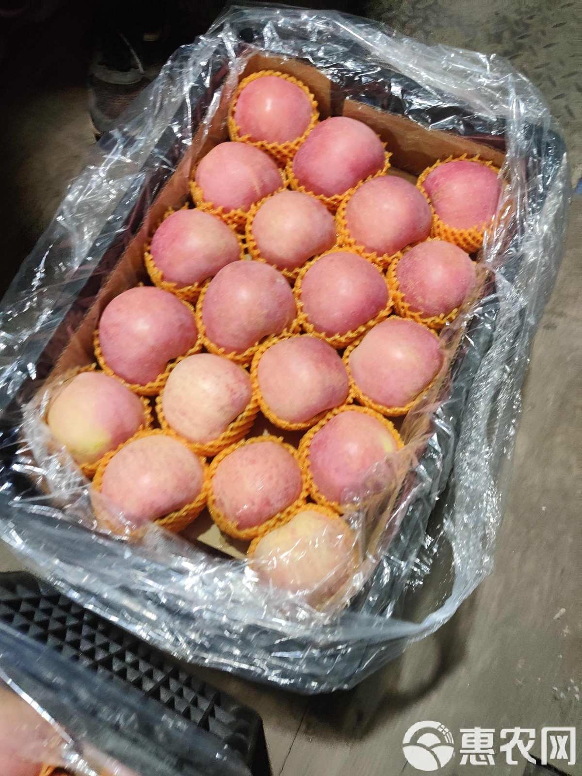 苹果现货(苹果期货走势最新消息)