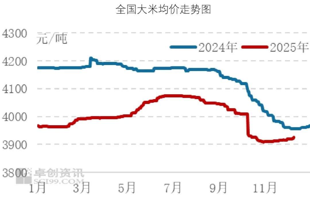 玉米现货价(玉米现货价格周期是多少)