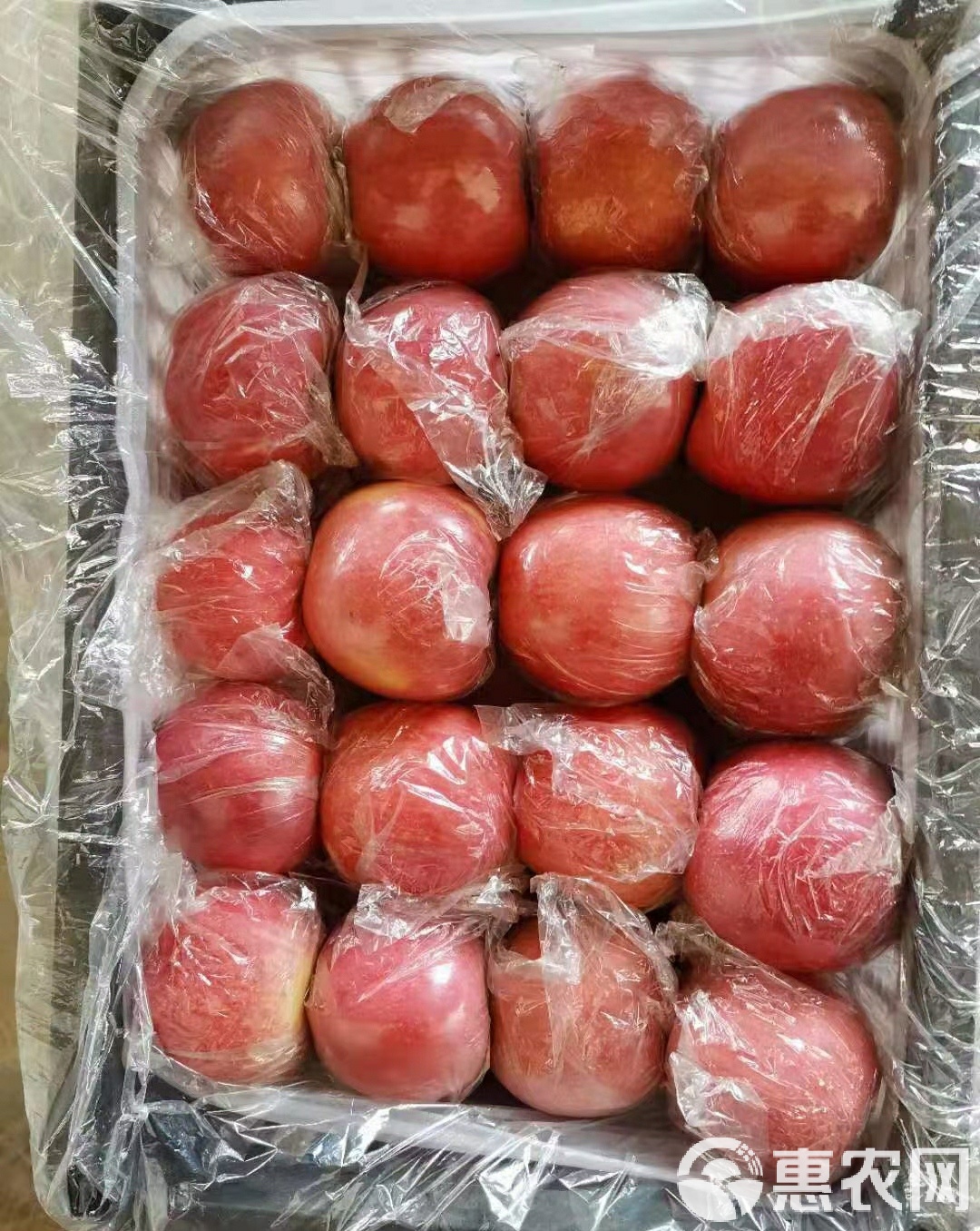 苹果现货(苹果现货多少钱一吨)