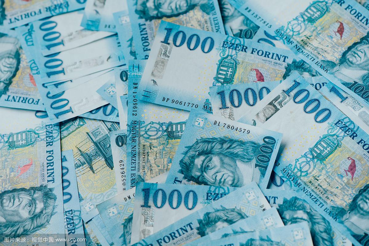 匈牙利货币(匈牙利货币与欧元汇率)