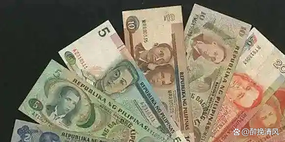 巴基斯坦货币(巴基斯坦货币10000折合人民币多少)