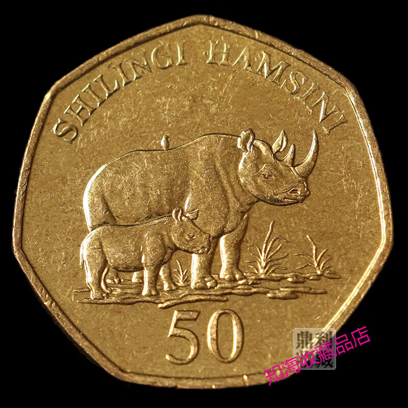 坦桑尼亚货币(坦桑尼亚货币名称)