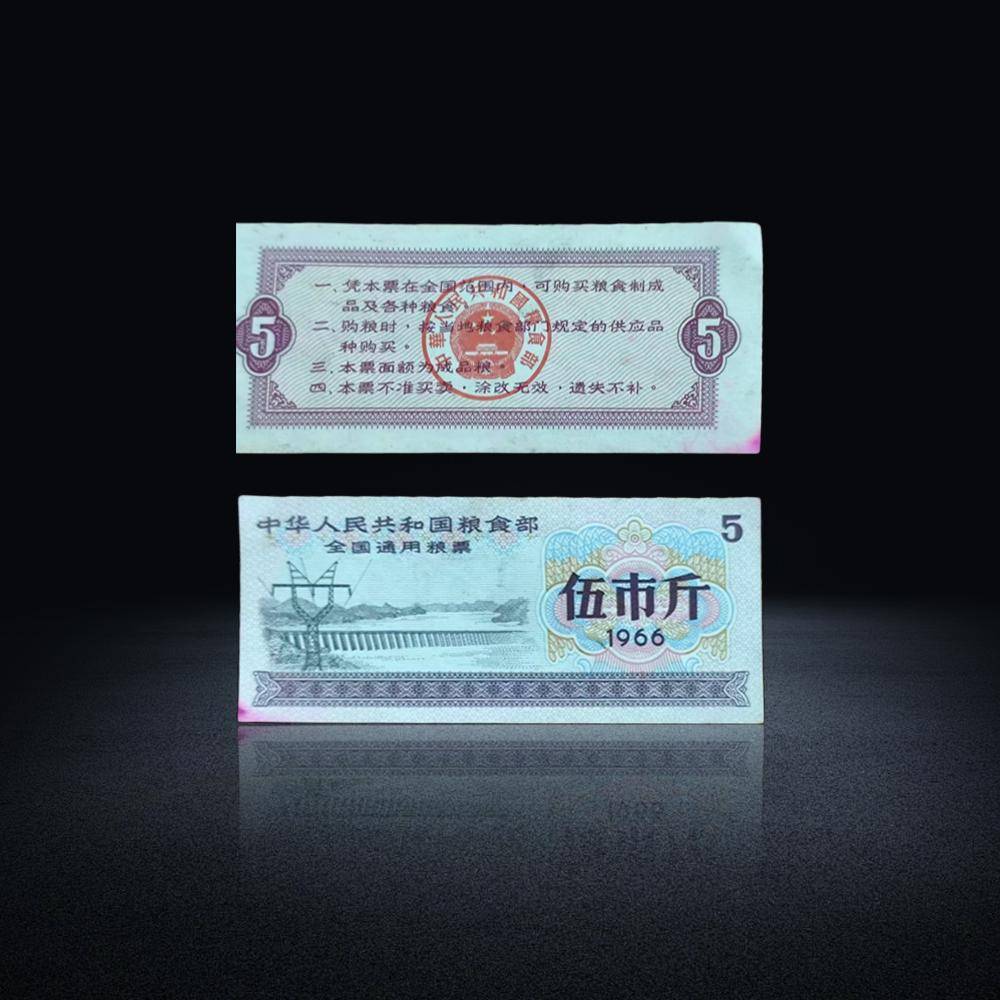 通用货币(新加坡通用货币)