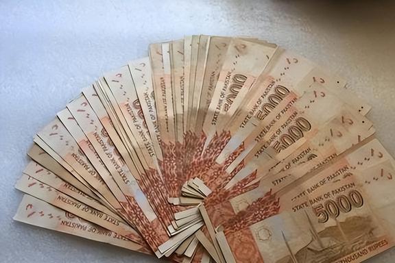 巴基斯坦货币(巴基斯坦货币单位)