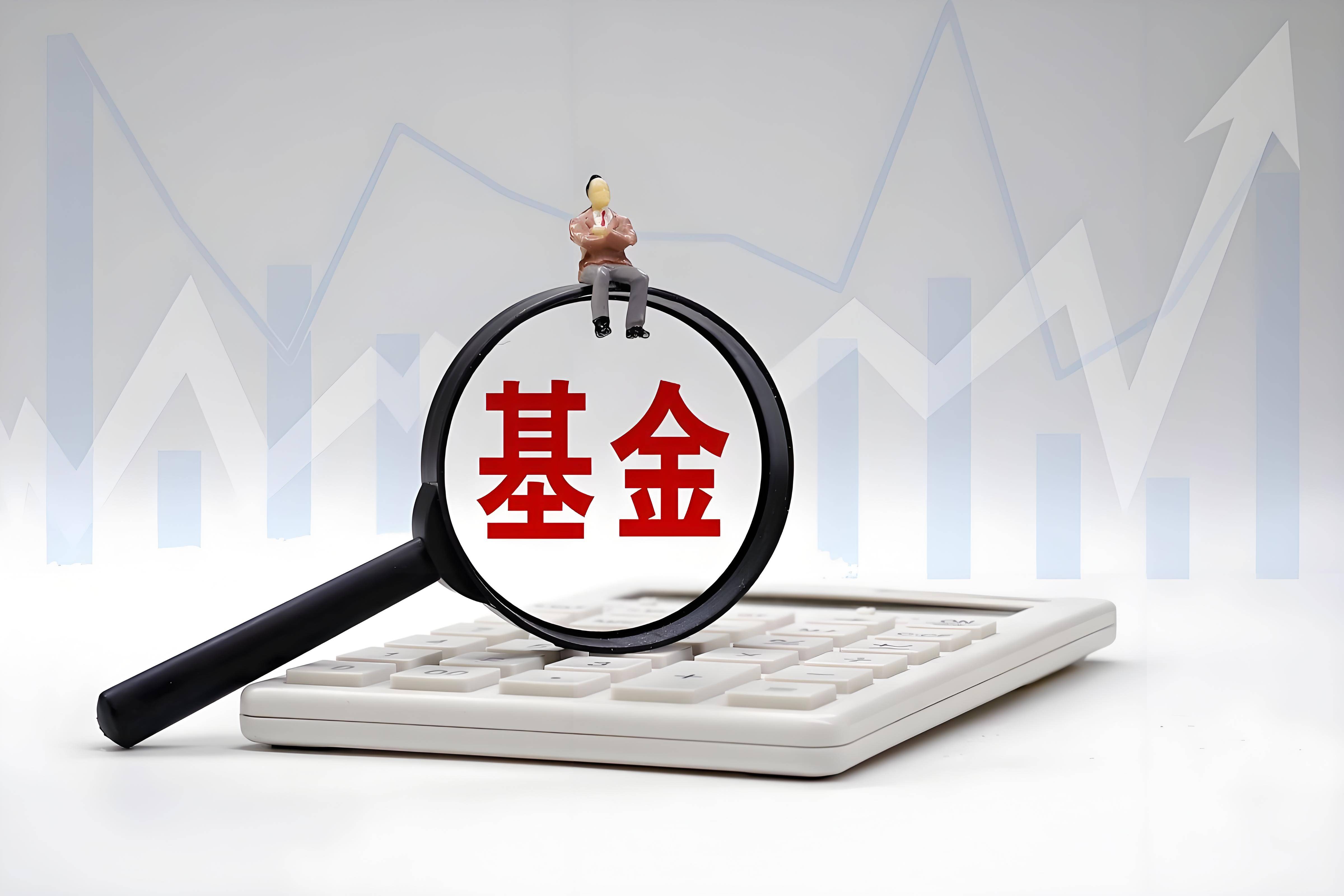 货币型基金(货币型基金收益排名)